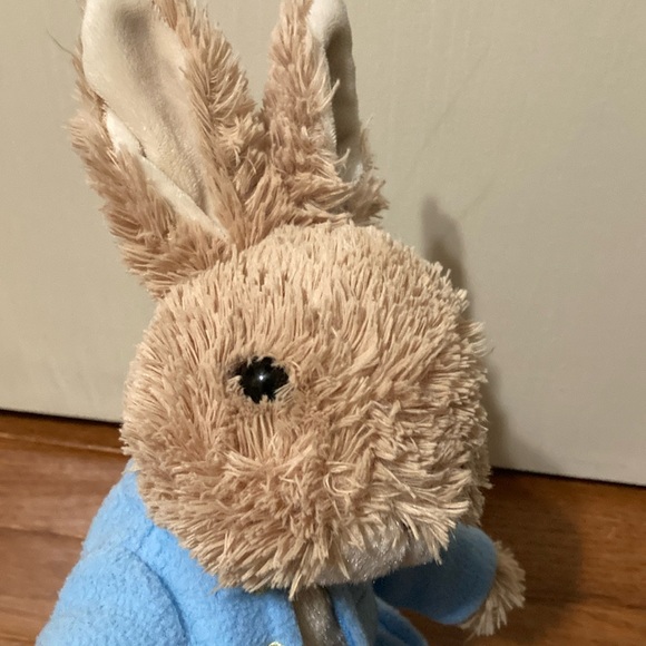 Peter Rabbit - P IS FOR PETER BOOK & PLUSH - Picture 3 of 14